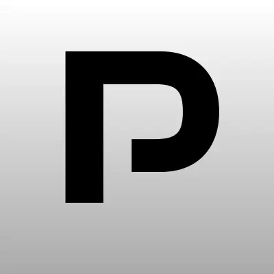 Pro Камины, интернет-магазин, лого-визитка
